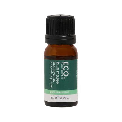 ECO. Modern Essentials Essential Oil Blue Mallee Eucalyptus 10ml